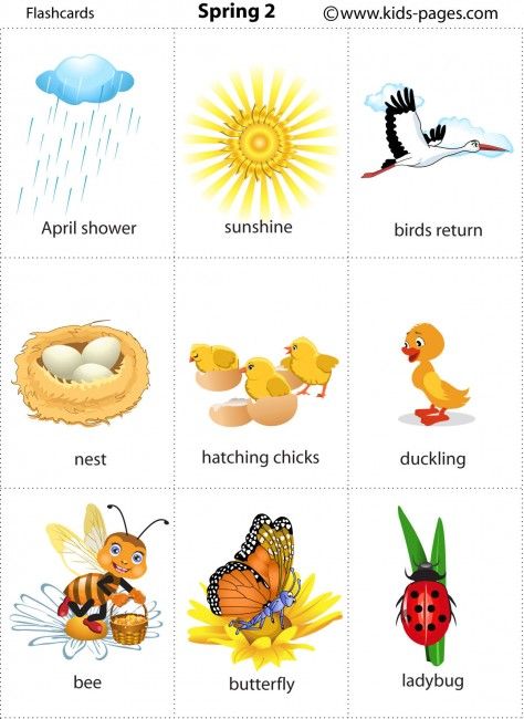 http://www.kids-pages.com/folders/flashcards/Spring_2/page1.htm Birds Spring, Spring Flashcards, Birds Chart For Preschool, Birds Name With Picture, Insect Flashcards, Animal Flash Cards Printable, Esl Vocabulary, Fun Card Games, Learning English For Kids