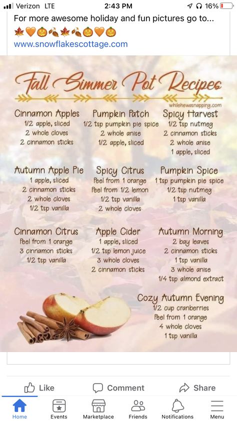 Simmer Scents, Fall Simmer Pot, Simmer Pot Recipes, Stove Top Potpourri, Potpourri Recipes, Simmer Pot, Thanksgiving Blessings, House Smell Good, Oil Diffuser Recipes