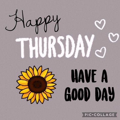 Good Morning Happy Thursday Gif, Happy Thursday Gif, Thursday Gif, Good Thursday Morning, Thursday Morning Quotes, Happy Thursday Morning, Hump Day Quotes, Week Motivation, Happy Thursday Images