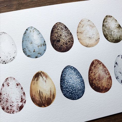 How to Paint Bird Eggs in Watercolour - Sharone Stevens Design Dry Brush Technique, Different Birds, Bird Eggs, Egg Art, Daily Painting, Online Class, Bird Drawings, Watercolor Bird, Learn To Paint