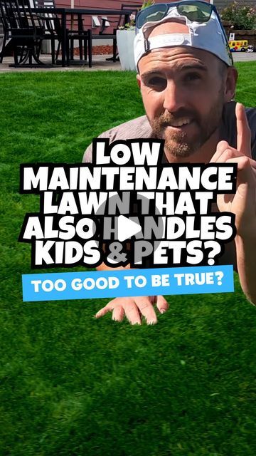 Chris Kanan on Instagram: "LOW MAINTENANCE LAWN WITH DOGS 🐶& KIDS ⚽️!? ⤵️

One of my FAQ’s: I want a nice lawn, but DOGS….HELP! 😭

This grass type handles great with high TRAFFIC, DROUGHT, and is LOW MAINTENANCE! 

RESILIENCE II TURF TYPE TALL FESCUE 👏🏻
☀️ | Thrives in FULL SUN
🌳 | Handles well in SHADY environments 
🥵 | DROUGHT tolerant 
🏃🏻‍♂️ | TRAFFIC tolerant (great for DOGS and KIDS)
🛠️ | LOW MAINTENANCE 
📍 | Great option for COOL SEASON and TRANSITION zones 

BLUE RESILIENCE is the same with added Kentucky Bluegrass for some added self repair qualities, which makes it another great option for yards with pets, kids, and high traffic. 

📚 | Download my FREE guide “What Grass is BEST for Me!?” for all my recommendations on what seed is best for you, your local environment, an Tall Fescue Grass Lawn, Fescue Grass Lawn, Dog Yard Landscaping, Low Maintenance Lawn, Tall Fescue Lawn, Tall Fescue Grass, Pet Grass, Tall Fescue, Lawn Alternatives