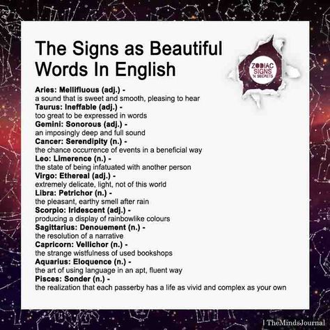 The Signs as Beautiful Words In English - https://themindsjournal.com/the-signs-as-beautiful-words-in-english/ Beautiful Words In English, Zodiac Things, Zodiac Sign Traits, Zodiac Stuff, Zodiac Society, Zodiac Signs Horoscope, Zodiac Signs Funny, Zodiac Memes, Zodiac Signs Astrology