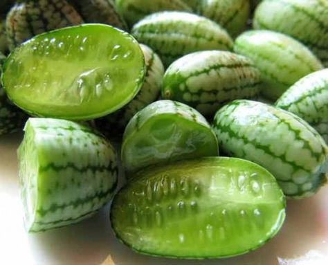 Cucamelons are tiny watermelon lookalikes with crisp, crunchy, cucumber-tinged-with-lime flavors. Try them in this delightful pickled cucamelon recipe! Cucamelon Recipes, Vegetables Names With Pictures, Watermelon And Lemon, Fruit Crisp, Heirloom Vegetables, Exotic Fruit, Coriander Seeds, Heirloom Seeds, Annual Plants