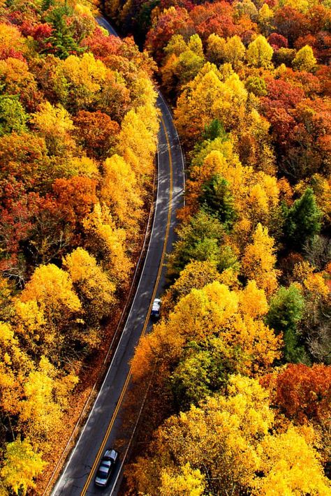 Check out "Georgia Fall Colors" in Georgia Fall In Georgia, Fall Travel Destinations, Georgia Fall, Blue Ridge Scenic Railway, Georgia Us, Cloudland Canyon, Georgia Photography, Time To Travel, Autumn Foliage