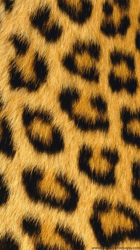 Pin on Paper Prints Leopard Print Wallpaper, Cheetah Print Wallpaper, Snake Wallpaper, Animal Print Wallpaper, Mac Wallpaper, Tiger Design, Iphone Prints, Printed Backgrounds, Print Wallpaper