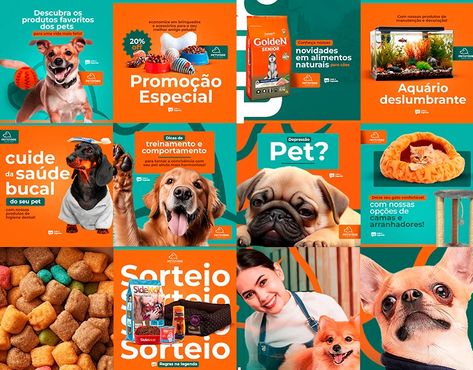 Social Media: Instagram Feed :: Behance Pet Food Social Media Design, Pet Poster Design, Instagram Ads Ideas, Pet Branding, Digital Advertising Design, Social Media Branding Design, Adobe Illustrator Graphic Design, Social Media Work, Medical Design