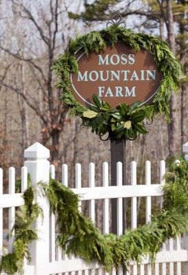 Moss Mountain Farm: An Arkansas holiday home Moss Mountain Farm, Christmas Shop Displays, P Allen Smith, Mountain Farm, Green Palette, Garden Designer, Woodland Christmas, Beautiful Christmas Trees, Home For The Holidays