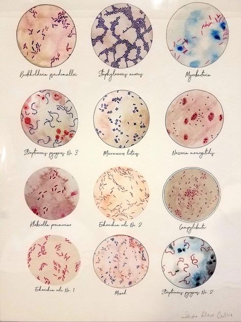 Microorganisms Aesthetic, Parasitology Aesthetic, Virology Aesthetics, Bacteria Aesthetic, Microorganisms Art, Microbiology Wallpaper, Cell Biology Art, Microbiology Aesthetic, Bacterial Culture