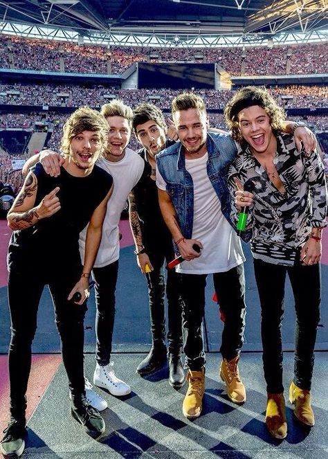 The boys. Milan, Italy (Night 2) 6.29.14 One Direction, Thank You, Twitter