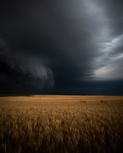 (1) Abstract➿Natālija su Twitter: "Nothing beats a good wheat field and storm by Justin Snead https://t.co/hEQFy5fVGV" / Twitter Riders On The Storm, Storm Chasing, Storm Photography, Aesthetic Lockscreens, Land Of Oz, Wheat Field, Wheat Fields, Weather And Climate, Photography Poses For Men