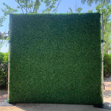 Grass Backdrops, Wood 3d, Party Photo Backdrop, Grass Wall, Money Fashion, Backyard Bar, Event Backdrop, Box Wood, Adult Birthday Party