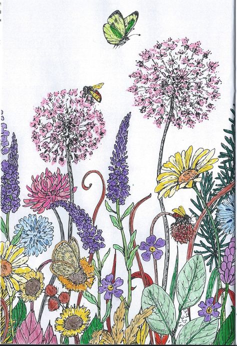 flowers Butterfly In The Garden Drawing, Butterfly Garden Illustration, Field Flowers Drawing, Butterfly Garden Drawing, Flower Field Drawing, Flower Garden Drawing, Bush Drawing, Spring Drawing, English Project