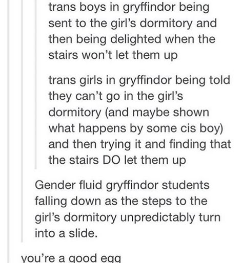 I FUCJING WISH GOD DYSPHORIA IS MURDERING ME TAKE ME NOW Trans Boys, Harry Potter Headcannons, Harry Potter Jokes, Harry Potter Marauders, Harry Potter Obsession, Mischief Managed, Harry Potter Universal, Harry Potter Fantastic Beasts, Harry Potter Funny