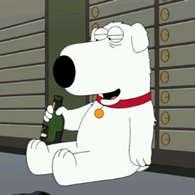 Brian Griffin Pfp, Brian From Family Guy, Brain Griffin, Brian Family Guy, Brian Griffin, Family Guys, Reaction Images, Funny Meems, Reaction Pics