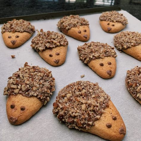 How to make Hedgehog biscuits - Picniq Blog Hedgehog Biscuits, Baking Power, Chocolate Pops, Roasted Pumpkin Seeds, Roast Pumpkin, Golden Syrup, Super Yummy, Biscuit Recipe, Hedgehogs