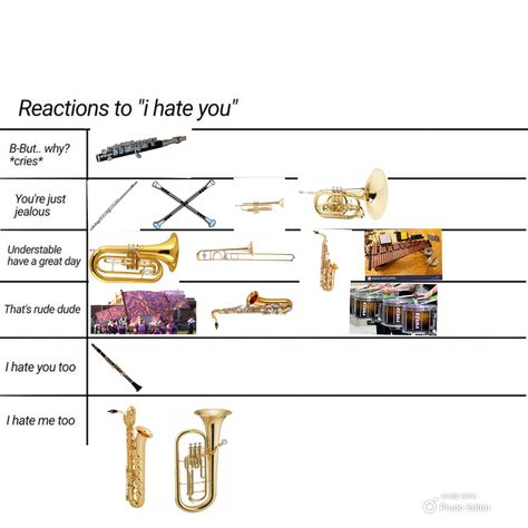 What Your Instrument Says About You, Brass Band Memes, Saxophone Jokes, Band Kids Humor, Band Bus, Funny Band Jokes, Clarinet Humor, Marching Band Jokes, Musical Jokes