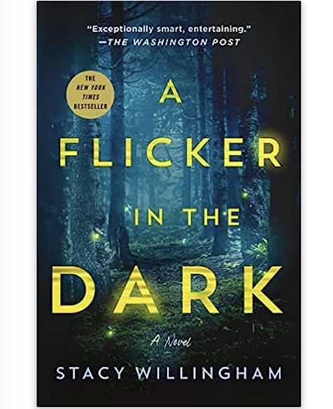 Flicker In The Dark, Dark Book, Dark Books, Turning Pages, Suspense Thriller, Thriller Books, The Aftermath, Page Turner