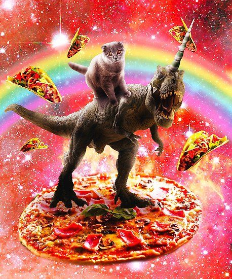 Taco Poster, Taco Burrito, Pizza Taco, Cat Riding, Poster Space, Hipster Gifts, Dinosaur Posters, Galaxy Cat, Silly Cats Pictures