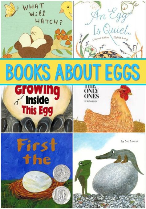 Animals For Preschool, Life Cycles Preschool, Oviparous Animals, Chicken Life Cycle, Animals Preschool, Hatching Chickens, Literacy Activities Preschool, Spring Kindergarten, Preschool Units