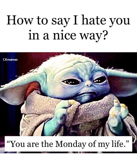 Yoda Quotes, Yoda Images, Yoda Meme, Yoda Funny, I Hate Mondays, Monday Memes, Hate Mondays, Reality Of Life Quotes, Cartoon Tattoos