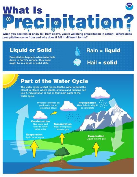 Water Cycle Diagram, Types Of Precipitation, Middle School Games, Thunderstorm Clouds, The Water Cycle, Freezing Rain, Weather Unit, Weather Data, Snow Crystal