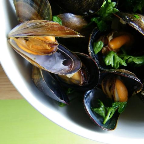 Drunken Mussels Recipe, Steamed Mussels, Mussels Recipe, Grilled Bread, Milk Shakes, Thai Curry, Cooking For Two, Seafood Dinner, Fish Dishes