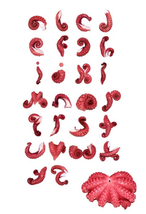 Tentacled Typography #pulpo Typography Served, Typography Alphabet, 타이포그래피 포스터 디자인, Typographic Art, Octopus Art, Font Graphic, Alphabet Art, Word Design, Graffiti Lettering