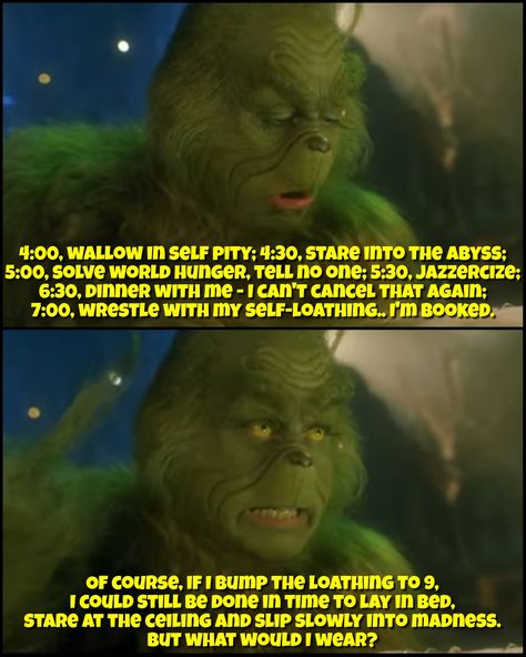 How The Grinch Stole Christmas, The Grinch Quotes Jim Carrey, How The Grinch Stole Christmas Poster, How The Grinch Stole Christmas Movie Poster, Feeling Crappy, The Grinch Memes Funny, Grinch Memes Hilarious, Stare Into The Abyss, Tell No One