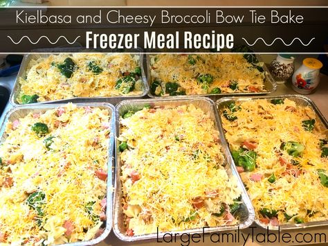 Large Family Table, Family Freezer, Noodle Bake, Chicken Freezer Meals, Freezer Dinners, Chicken Broccoli Alfredo, Budget Freezer Meals, Freezer Friendly Meals, Freezable Meals