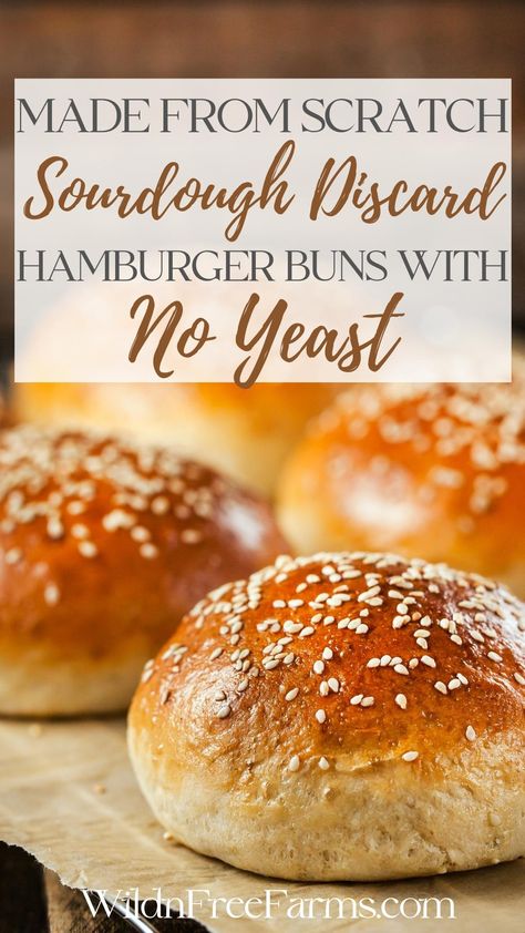 sourdough discard hamburger buns Discard Hamburger Buns, Sourdough Discard Hamburger Buns, Dough Starter Recipe, Homemade Sourdough Bread Recipes, Easy Sourdough Bread Recipe, Hamburger Bun Recipe, Recipe Using Sourdough Starter, Sourdough Starter Discard Recipe, Gluten Free Sourdough