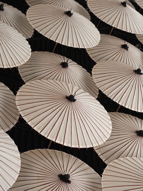 Jackson Carson photography 2010   |  Japanese Umbrellas Japanese Color Palette, Japanese Umbrella, White Umbrella, Under My Umbrella, Umbrellas Parasols, Stil Inspiration, Japanese Restaurant, Maneki Neko, Jolie Photo