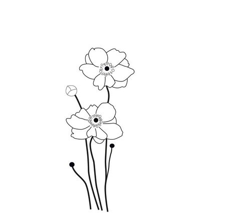 I love the light grace of the Japanese anemone #flowerdrawings Japanese Anemone Drawing, Anemone Drawing, Anemone Tattoo, Japanese Anemone, White Anemone, Anemone Flower, Tiny Tattoos, Anemone, Flash Tattoo