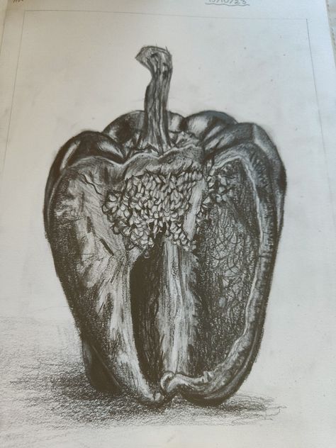 A tonal drawing of a bell pepper . Hope you like it😊 Tonal Pencil Drawing, Pepper Drawing Pencil, Pepper Drawing, Tonal Drawing, Organic Mechanic, Bell Pepper Plant, Classic Car Photography, Gcse Art Sketchbook, Pepper Plants