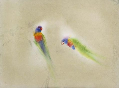 Claire Harkess RSW - Rainbow Lorikeets Rainbow Lorikeet Tattoo, Lorikeet Tattoo, Rainbow Lorikeet, Feather Tattoo, Watercolor Tattoo, Mood Board, Art Inspiration, Rainbow, Tattoos