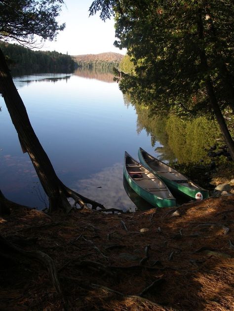 Kayaking Aesthetic, Canoe Fishing, Canoe Camping, Algonquin Park, Wild Eyes, Outdoor Aesthetic, Lake Boat, Canoe Trip, Canoes