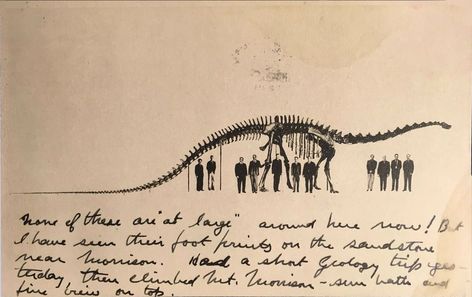 Diplodocus Skeleton, Paleo Art, Early 20th Century, Skeleton, Tattoos, Quick Saves, Art