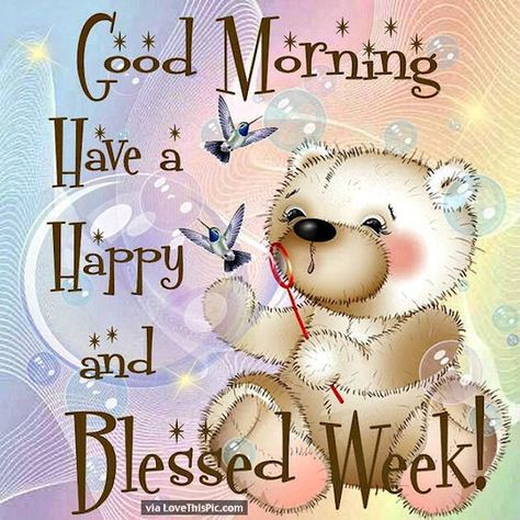 Have A Blessed Week, Daily Wishes, Good Monday Morning, Quotes Morning, Blessed Week, Funny Good Morning Quotes, Cute Good Morning Quotes, Good Day Quotes, Morning Greetings Quotes