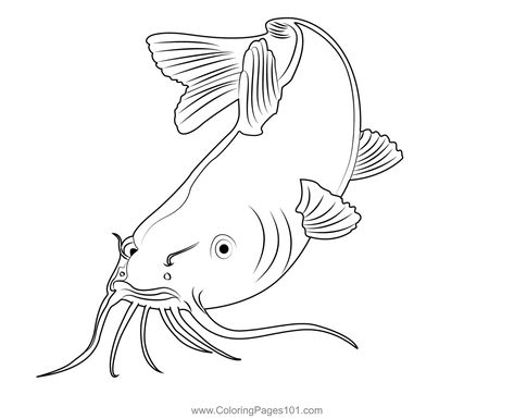 Big Catfish Valerian Coloring Page Mouth Drawings, Big Catfish, Things To Paint On Rocks, Fish Fin, Mouth Drawing, Things To Paint, Valerian, Catfish, Free Kids