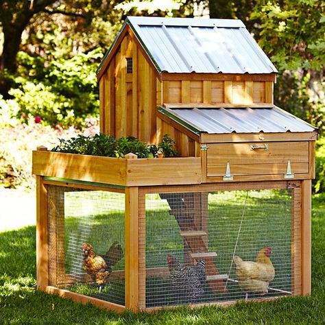 5 Favorites: Backyard Chicken Coops for Small Flocks. Cute coop design, would include a door so chickens can come and go as they please Chicken Coupe, Ag Mechanics, Reban Ayam, Pink Tractor, Chicken Barn, Chicken Coup, Chicken Tractors, Chicken Coop Run, Coop Design