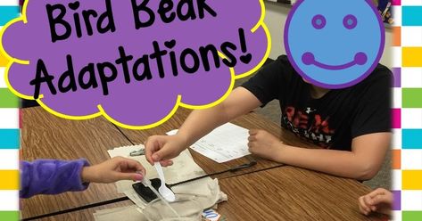 Bird beak adaptation science activity for upper elementary. Animal Adaptations Experiments, Adaptations Science, Adaptations Activities, Animal Adaptation, Teaching Middle School Science, Bird Bones, Animal Adaptations, Bird Beaks, 4th Grade Science