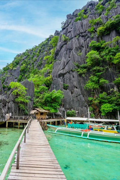 Barracuda Lake, is a place where time stands still, and worries drift away! This tropical island's vibrant hues and underwater wonders make every moment a postcard memory. #travel #BarracudaLake #Philippines #adventuretime #travelattractions #Palawan Barracuda Lake, Time Stands Still, Time Stood Still, Palawan, Tropical Islands, Adventure Time, Philippines, No Worries, A Place