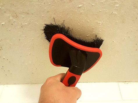 How To Clean Mold From Bathroom Ceiling, How To Get Mold Off Bathroom Ceiling, Bathroom Ceiling Mold Removal, Remove Mold From Ceiling Bathroom, How To Remove Mold From Bathroom Ceiling, Best Way To Clean Mold In Bathroom, Removing Mold From Bathroom Ceiling, Deep Clean Shower Mold, Mold On Bathroom Ceiling