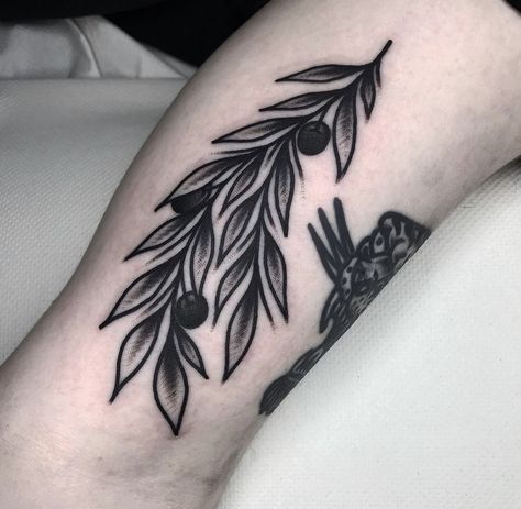 #tattoo #traditionaltattoo #tattooideas #tattooart #tattooartist #tattoosforwomen #tattoodesign #tattooideasformen #tattooshop Traditional Olive Branch Tattoo, Traditional Tattoo Leaves, Tattoo Olive Branch, Traditonal Tattoo, Olive Tattoo, Olive Branch Tattoo, Traditional Black Tattoo, Abstract Tattoo Ideas, Traditional Tattoo Inspiration