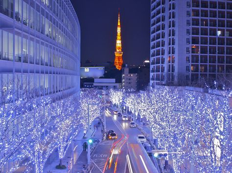 Turning On Tokyo: The Weekender Guide to 2017’s Winter Illuminations Christmas In Tokyo, Christmas In Japan, Tokyo Christmas, Disney Christmas Parade, Tokyo Winter, Japan Honeymoon, Japan Wallpaper, Tokyo Midtown, Japanese Christmas