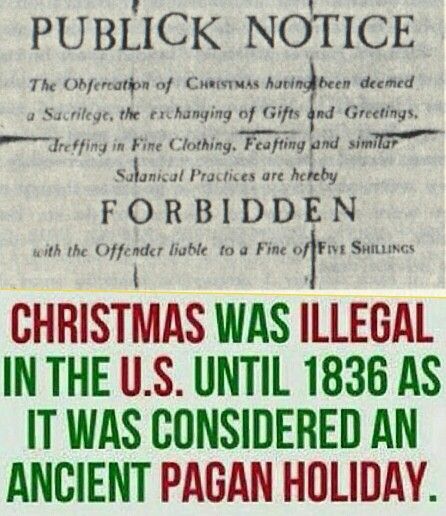 Christmas is pagan and used to be illegal in the U.S. Quotes Christmas, Family Worship, Bible History, Bible Facts, Bible Knowledge, Bible Truth, Torah, History Facts, Christmas Winter