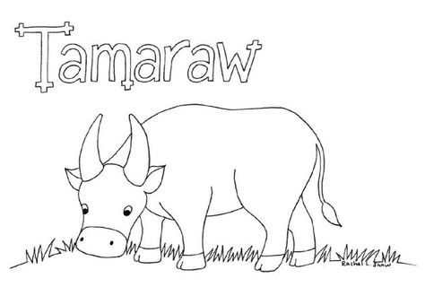 tamaraw colouring page Carabao Drawing, Save Animals Poster, Animals Poster, Mindoro, Student Birthdays, Anime Music Videos, Different Species, Stamp Ideas, National Animal