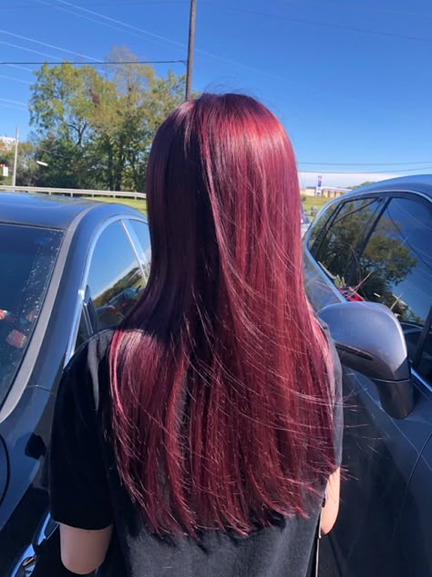 Cherry Red Hair Pale Skin, Light Cherry Red Hair, Bright Red Hair Ideas, Dark Wine Red Hair, Red Hair Dark Roots, Types Of Brown Hair, Wine Red Hair Color, Bright Red Hair Color, Red Hair Looks