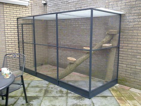 Iguana Cage, Big Bird Cage, Outdoor Pet Enclosure, Diy Bird Cage, Bird Cage Design, Pet Bird Cage, Cat Fence, Cat Patio, Large Bird Cages