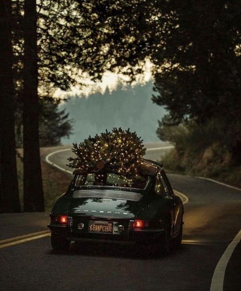 Christmas Tree On Car, Christmas Cars, Vive Le Vent, Driving Home For Christmas, American Christmas, Car Christmas, Christmas Car, Christmas Feeling, Cambridge University