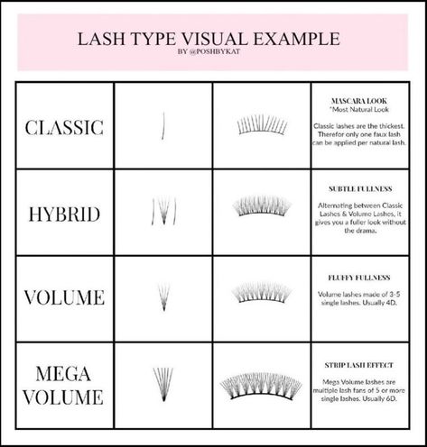 Hybrid Lash Description, Eyelash Extension Curl Chart, Lash Extensions Thickness, Lash Extensions Styles Chart, Eyelash Extension Chart, Lash Mapping For Beginners, Lash Tech Policy Template, Lash Manual Ideas, Eyelash Extensions Chart